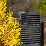 House Hideaway Novi Vinodolski By Guide Ledenice