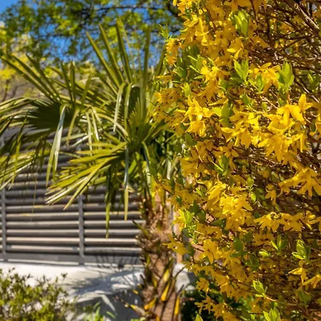 House Hideaway Novi Vinodolski By Guide